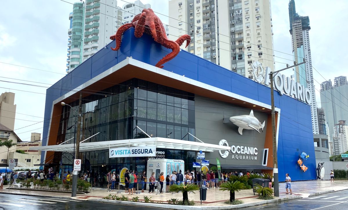 Mergulho sem se molhar: Por que o Oceanic Aquarium transforma a sua viagem a Balneário Camboriú